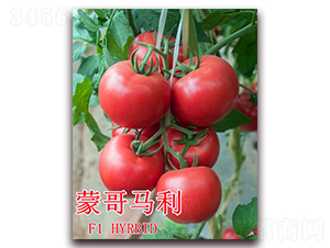 �ɸ�����-��������-��ʢũҵ