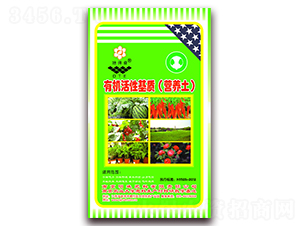 �л����Ի��ʣ�Ӫ������-����