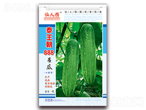 ̩����888-��������-��Ҷ