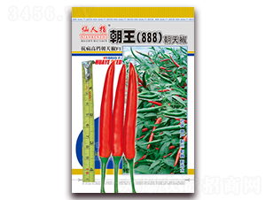 ����888-��������-��Ҷ