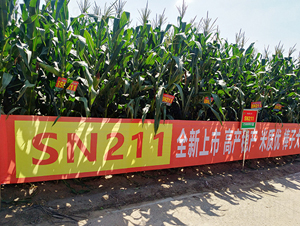 SN211-��������-����