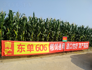 ����606-��������-����