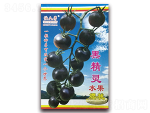�ھ���ˮ��ӣ�ҷ���-��������-��Ҷ