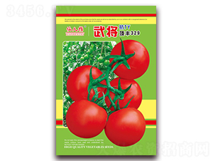 �佫����329-��������-��Ҷ