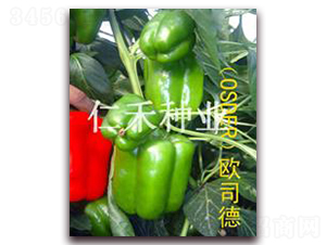 ŷ˾�£�OSDER��-������-�ʺ���ҵ