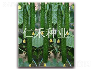 �ʺ�009-�ƹ�����-�ʺ���ҵ