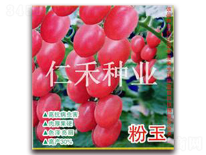 ����-ӣ�ҷ�������-�ʺ���ҵ