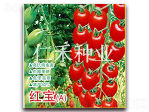 �챦��A��-ӣ�ҷ�������-�ʺ���ҵ