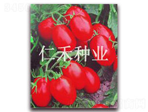 �챦��B��-ӣ�ҷ�������-�ʺ���ҵ