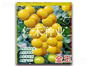 ����-ӣ�ҷ�������-�ʺ���ҵ