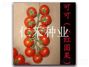 �ɿɣ�С��Բ����-ӣ�ҷ�������-�ʺ���ҵ
