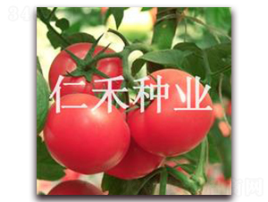 �ϰ¿ɡ��۹���������-�ʺ���ҵ