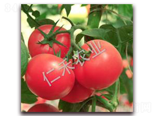 ��״Ԫ-�۹���������-�ʺ���ҵ