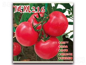 ���216-�۹���������-�ʺ���ҵ