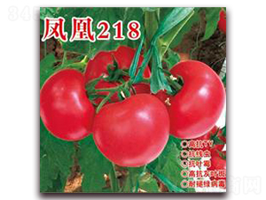���218-�۹���������-�ʺ���ҵ