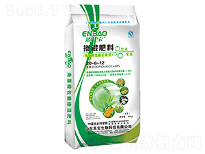 �������20-8-12-����