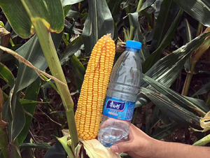����719-��������-����