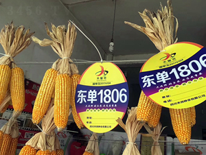 ����1806-��������-����