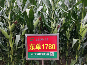 ����1780-��������-����