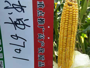 ����6701-��������-����