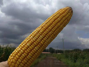 ����9573-��������-����
