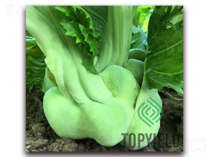 �ե5��-ե������-�����ҵ