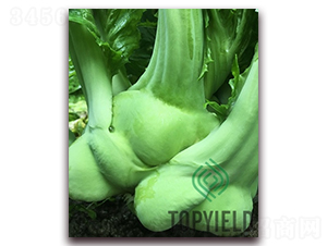 �ե2��-ե������-�����ҵ