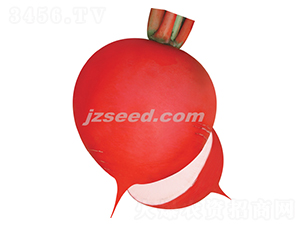 ��԰�챦-�ܲ�����-�ִ���ҵ