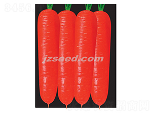 ����809����-���ܲ�����-�ִ���ҵ