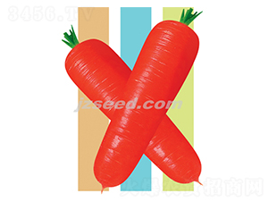 ���808����-���ܲ�����-�ִ���ҵ