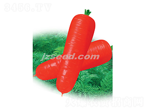 ����807����-���ܲ�����-�ִ���ҵ