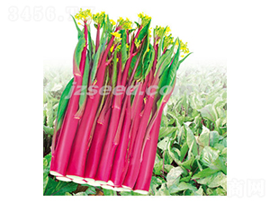 �º���60-��޷����-�ִ���ҵ