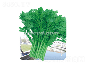 �оջ�Ҷ����-��������-�ִ���ҵ