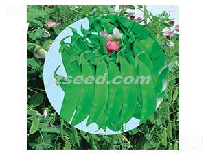 �컨������-����������-�ִ���ҵ
