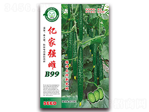 �ڼ�ǿ��B99-�ƹ�����-�ڼҷ�
