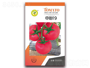 ���19-���ѷ۹�����-�ڼҷ�