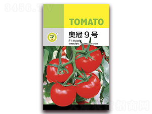 �¹�9��-���Ѻ������-�ڼҷ�