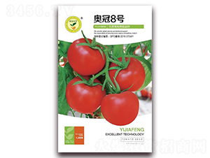 �¹�8��-���Ѻ������-�ڼҷ�