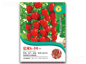 �ڼ�K-50-���Ѻ������-�ڼҷ�