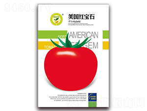 �����챦ʯ-���Ѻ������-�ڼҷ�