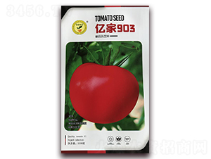 �ڼ�903-���Ѻ������-�ڼҷ�