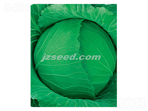 ����1027-��������-�ִ���ҵ