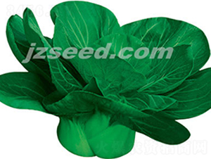 ����������-С�ײ�����-�ִ���ҵ