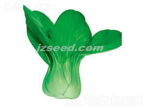 ����һ��-С�ײ�����-�ִ���ҵ