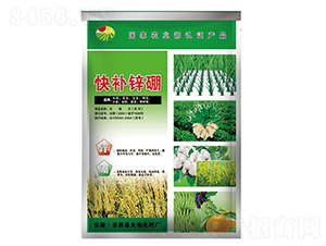 800g�첹п��-���-��ػ���