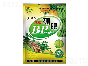 ˫ЧBP���-���-��ػ���