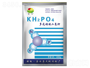 400g��Ԫ��������-���-��ػ���