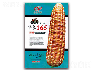 ����165-Ŵ��������-������ҵ