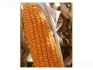 ����829-��������-������ҵ