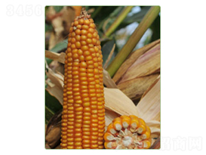 KWS6333-��������-������ҵ